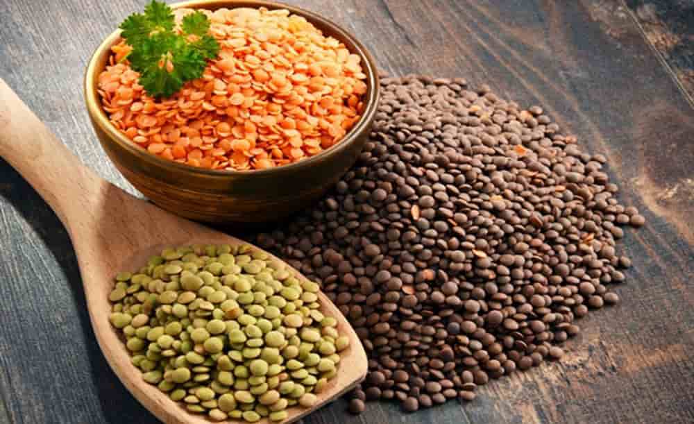 تصویر 1 از خرید و قیمت عدس درجه یک + فروش عمده